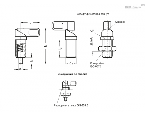 Рычажные фиксаторы GN 612.8-12-M20x1,5-A ELESA+GANTER
