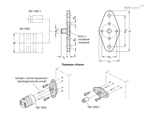 Фланец GN 1050.2-2-L-ST-ZB ELESA+GANTER