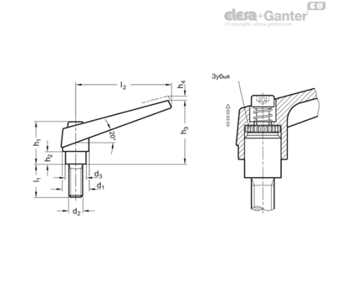 Регулируемая ручка рычажного типа GN 101-25-M12-50-SW ELESA+GANTER Регулируемая ручка рычажного типа GN 101-25-M12-50-SW ELESA+GANTER