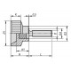 Ручка K0141.04X20 Kipp