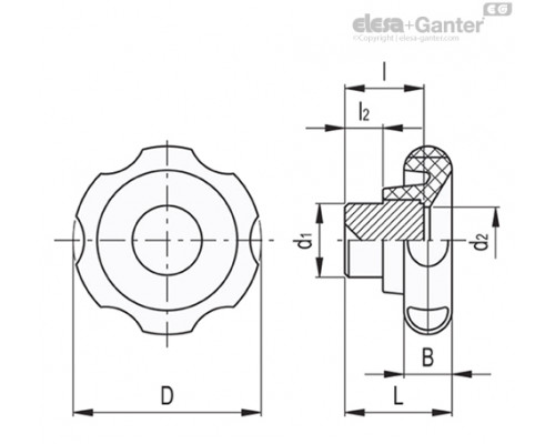 Лепестковая поворотная ручка VL.640/60 FP-A (174211) ELESA+GANTER
