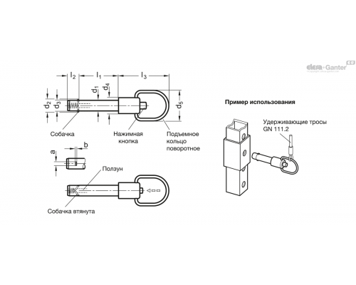 Установочный штифт GN 214.6-6-70 ELESA+GANTER