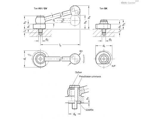 Эксцентриковый кулачок GN 918.5-40-GV-R ELESA+GANTER