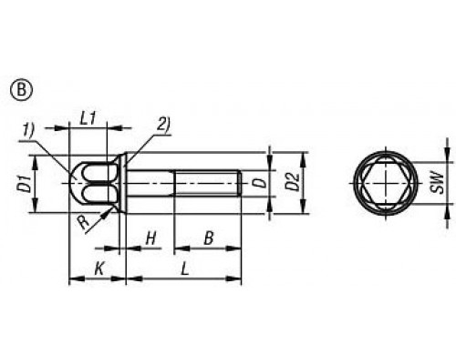 Винты K1647.1112X80 Kipp