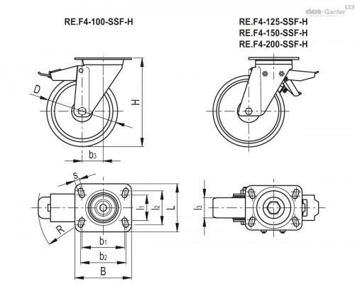 Колесико RE.F4-100-SSF-H (451441) ELESA+GANTER