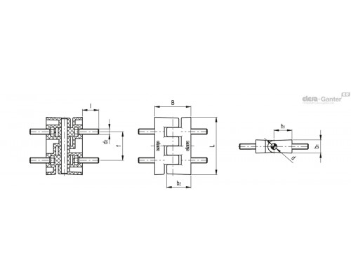 Петля CFF.66 p-M6x16 (423821) ELESA+GANTER