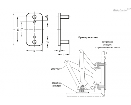 Пластина GN 7247.6-NI-60-20-MT ELESA+GANTER