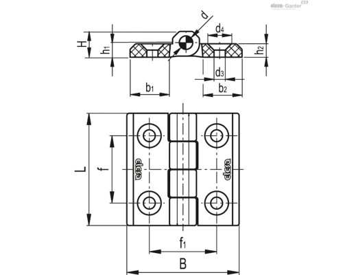 Петли CFM.40-SH-5 (425511) ELESA+GANTER