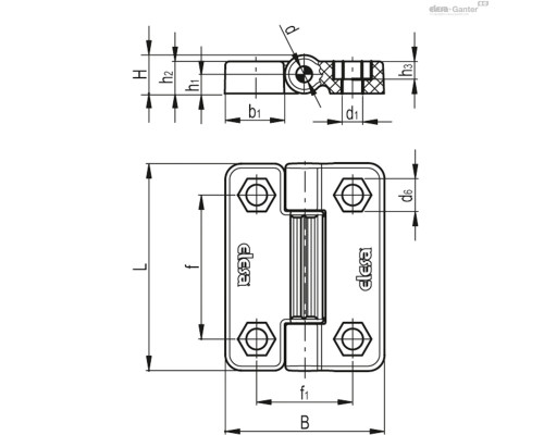 Петля CFV.65 EH-6 (427621) ELESA+GANTER