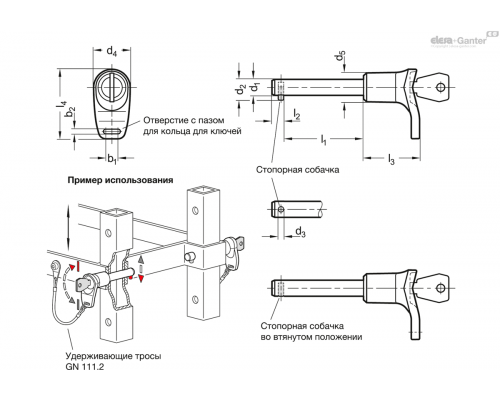 Установочный штифт GN 314-8-35-L-SC-NI ELESA+GANTER