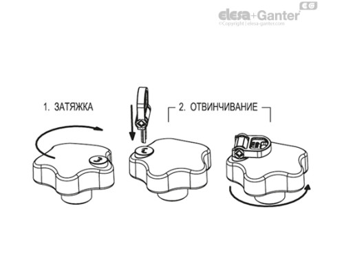 Лепестковая ручка с функцией защиты VLS.42 B-M6 (76501) ELESA+GANTER