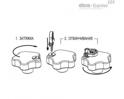 Лепестковая ручка с функцией защиты VLS.55 B-M10 (76552) ELESA+GANTER