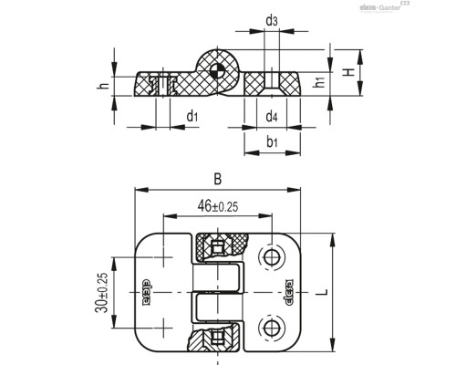 Петля CFJ.50-R B-M6-SH-6 (424671) ELESA+GANTER