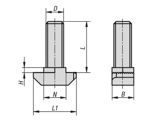 Т-болты K1029.1008030X60 Kipp