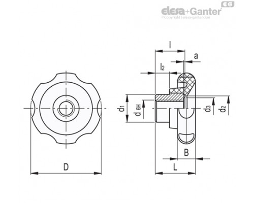 Лепестковая поворотная ручка VL.640/60 FP-A-M10 (174241) ELESA+GANTER