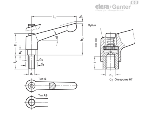Регулируемая ручка рычажного типа GN 300.5-30-M3-16-AS ELESA+GANTER Регулируемая ручка рычажного типа GN 300.5-30-M3-16-AS ELESA+GANTER