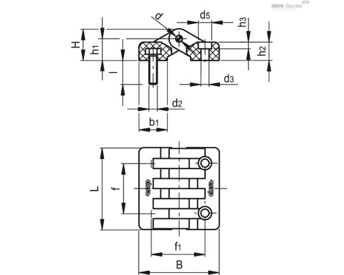 Петли CFA.65 p-M6x18-CH-6 (422262) ELESA+GANTER
