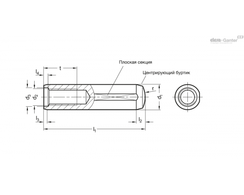 Установочный штифт DIN 7979-D-6-24-ST ELESA+GANTER