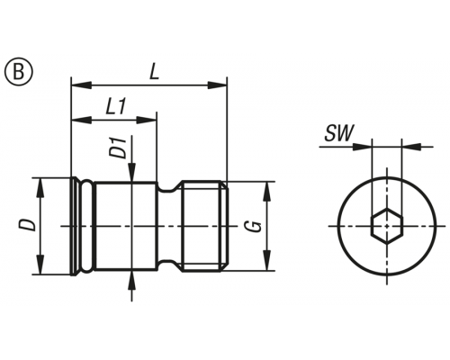 Заглушки K0862.1000815 Kipp