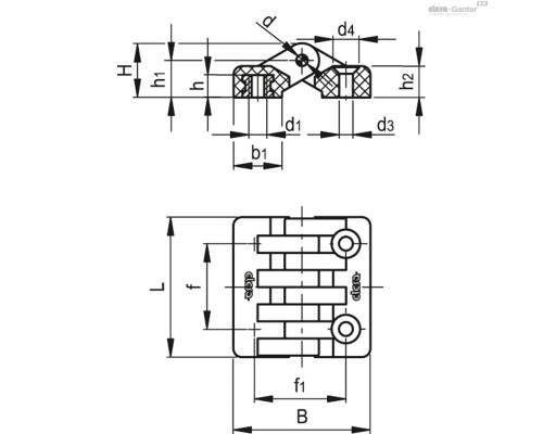 Петли CFA.49 B-M5-SH-5 (422151) ELESA+GANTER