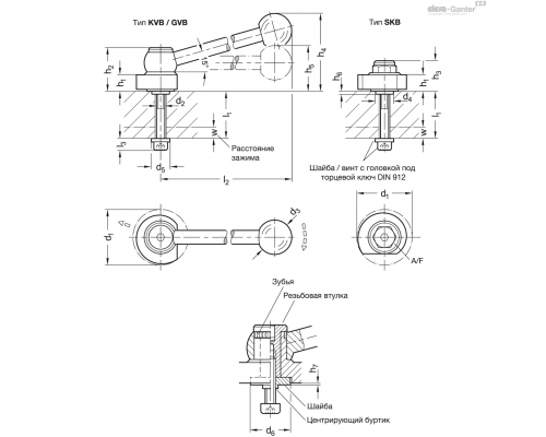 Эксцентриковый кулачок GN 918.5-40-GVB-R-47 ELESA+GANTER