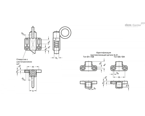 Штифт стопорный GN 724.6-13-20-C2-ZB-1 ELESA+GANTER