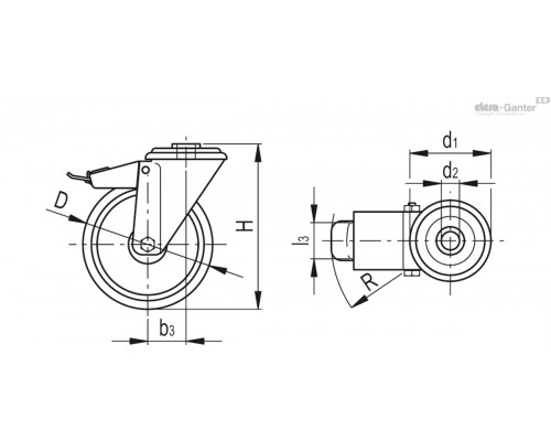 Колёсико RE.G1-125-FBF-N-SST (452763) ELESA+GANTER