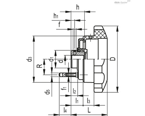 Лепестковая ручка VHT.110-PXX2 A-12 (CE.30352) ELESA+GANTER