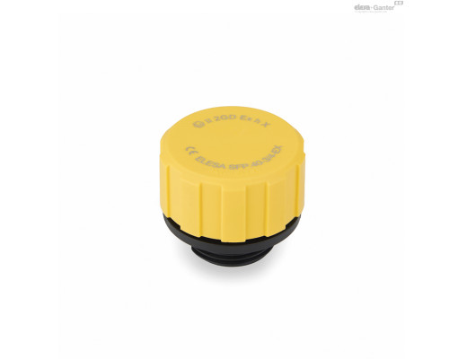 Крышка сапуна SFP.30-3/8-EX (53841-R-EX) ELESA+GANTER
