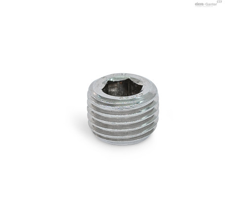Заглушка DIN 906-NI-R1/4-A ELESA+GANTER