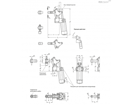 Прижим GN 962-220-APV-M ELESA+GANTER
