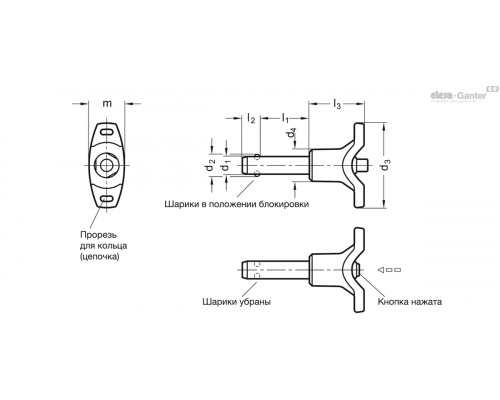 Штифт с шариковыми фиксаторами GN 113.7-5-50 ELESA+GANTER