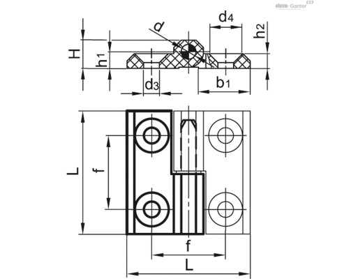 Петля CFMY.60 SH-6-S (425966) ELESA+GANTER