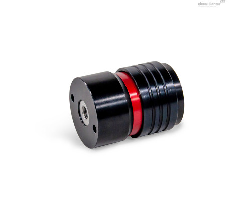 Быстрозажимное соединение GN 1050-2N-M12-I-F-ASS ELESA+GANTER