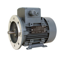 Электродвигатель 2EG200L2C IMB3/B5 48 кВт 3000 об/мин 400/690В ELK MOTOR (Турция)