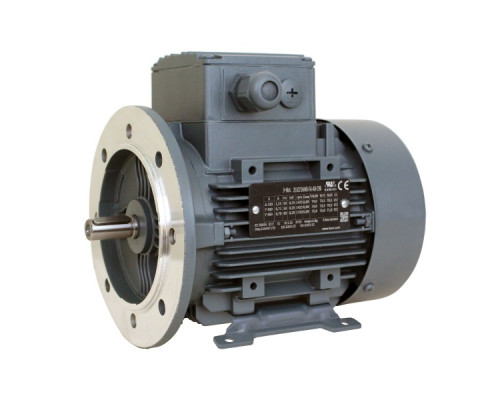 Электродвигатель 2EG200L2C IMB3/B5 48 кВт 3000 об/мин 400/690В ELK MOTOR (Турция) Электродвигатель 2EG200L2C IMB3/B5 48 кВт 3000 об/мин 400/690В ELK MOTOR (Турция)