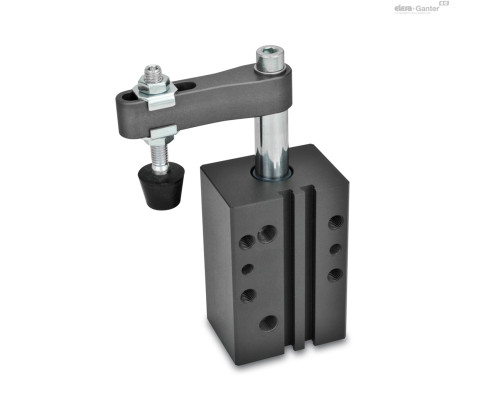 Поворотный зажим GN 875-20-12-R-AC ELESA+GANTER