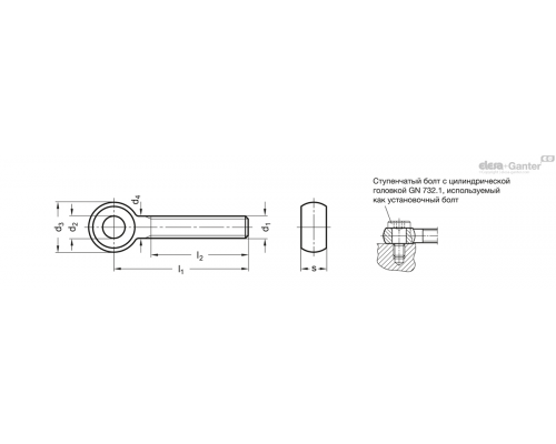 Откидной болт GN 1524-M10-50 ELESA+GANTER