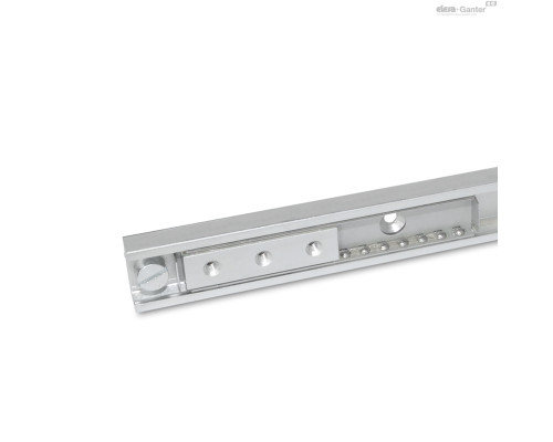 Направляющие GN 2402-43-210-1010 ELESA+GANTER