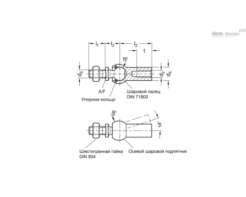 Осевой соединитель GN 71802.1-19-M14F-C-ST ELESA+GANTER