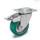 Колёсико RE.F2-100-SSF-N (452446) ELESA+GANTER
