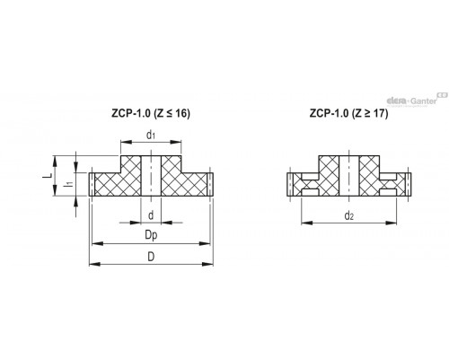 Зубчатая передача ZCP-1.0-20 (555420) ELESA+GANTER