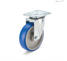 Колесико RE.F1-100-SBL-N (452485) ELESA+GANTER