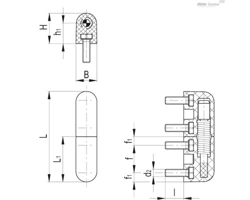 Петля CFNR.65 p-M5x12-D-030 (426212) ELESA+GANTER