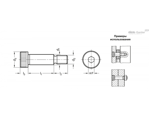 Винт ступенчатый ISO 7379-4-M3-6 ELESA+GANTER