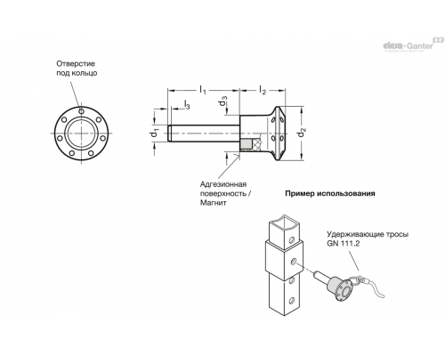 Установочный штифт GN 124.1-12-43 ELESA+GANTER