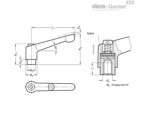 Регулируемая ручка рычажного типа GN 300-45-B5-SW ELESA+GANTER