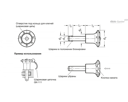 Штифт с шариковыми фиксаторами GN 113.5-5-60 ELESA+GANTER