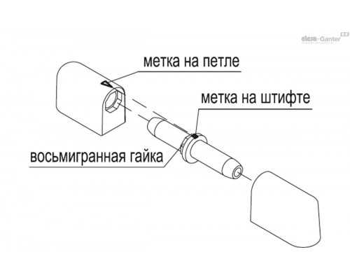 Петля CFN.65 p-M5x12-B-M5 (426141) ELESA+GANTER