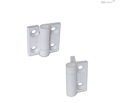 Петля GN 437.3-ZD-60-60-R2-SR ELESA+GANTER